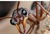 ant-colony