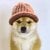 Babydogwifhat
