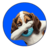 Basehoundbot By Virtuals