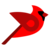 Bird.money