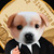 business-coin