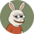Bux The Rabbit