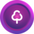 cashtree-token