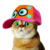 Catwifcap