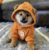 Dog (bitcoin)