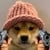 Dogwif2.0