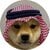 Dogwifsaudihat