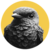 Ebabil Io