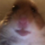 Hami