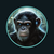 Koba