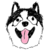 Kuma