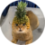 Pineapple Cat