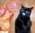 Pizza Cat