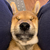 Pressdog