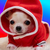 Puppers