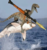 Shark Raptor Rocket Launcher