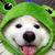 Shiro The Frogdog