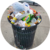 trash-coin